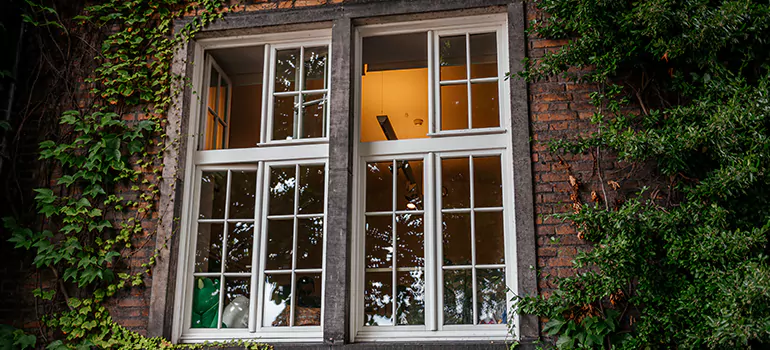 Energy Efficient Wood Windows in Palm Beach Gardens, FL