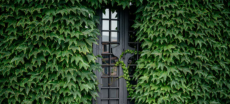 Garden Gate Repair in Palm Beach Gardens, FL